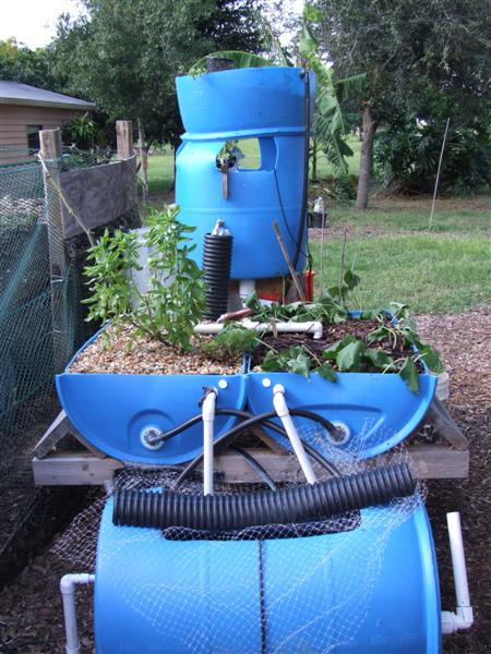 pp cleaned out and wood chips (Medium).JPG