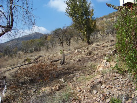 SLOPE OF THE SITE.JPG