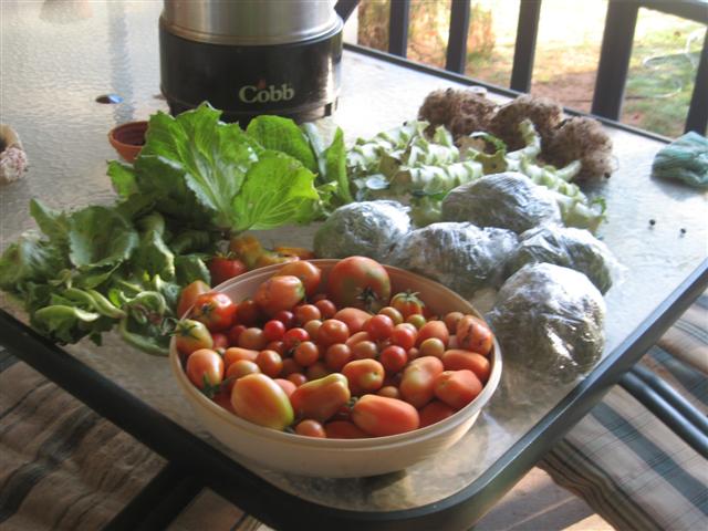 9 September harvest 007 (Small).jpg