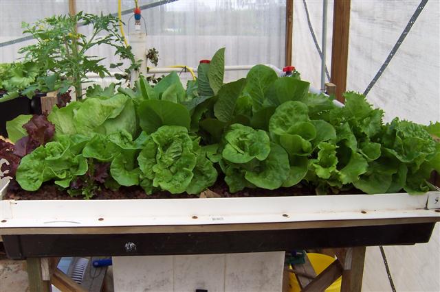 100_0901 (Small).JPG