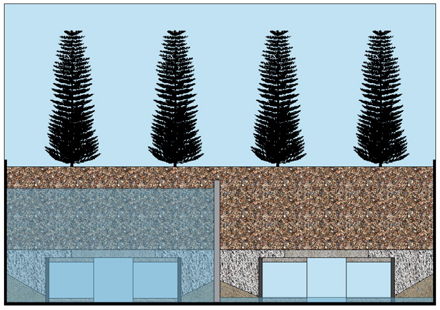 Channel Last One.jpg