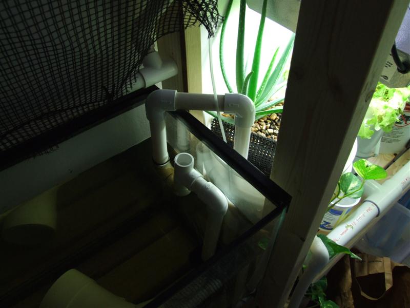 lg tank pre suck valve (Medium).JPG