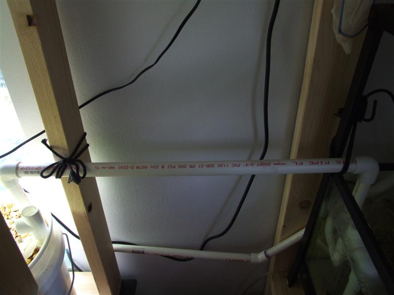 long one pre suck valve (Medium).JPG