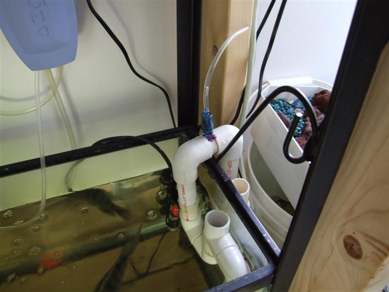 drain on with suck valve (Medium).JPG