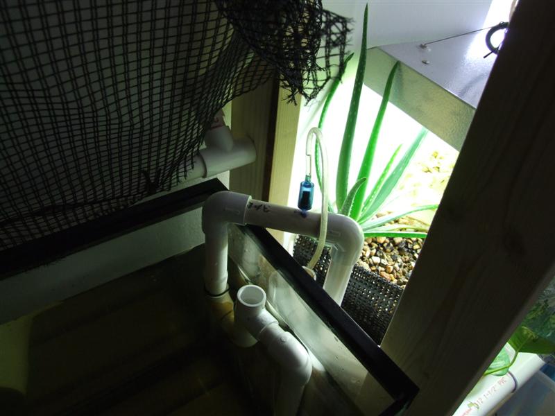 lg tank with suck valve (Medium).JPG