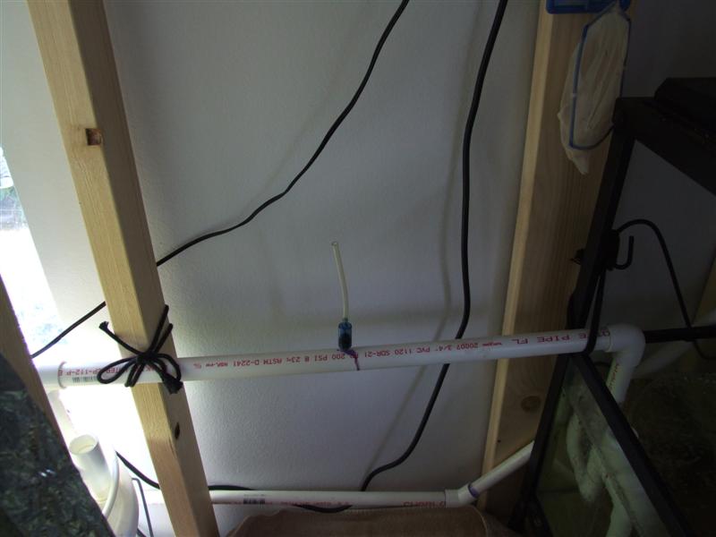 long one wiht suck valve (Medium).JPG