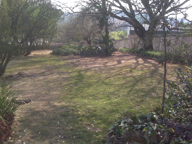 growbed area  14m by 12m.jpg