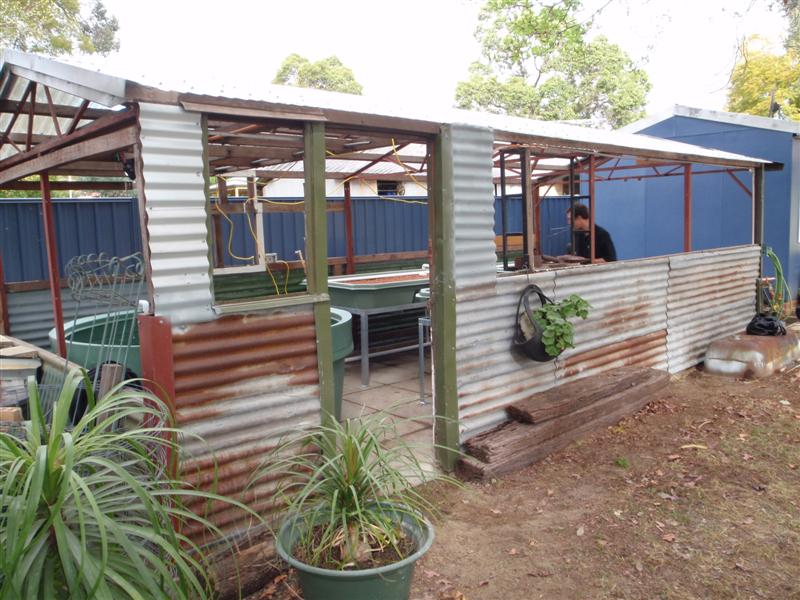 P9100121 (Medium).JPG