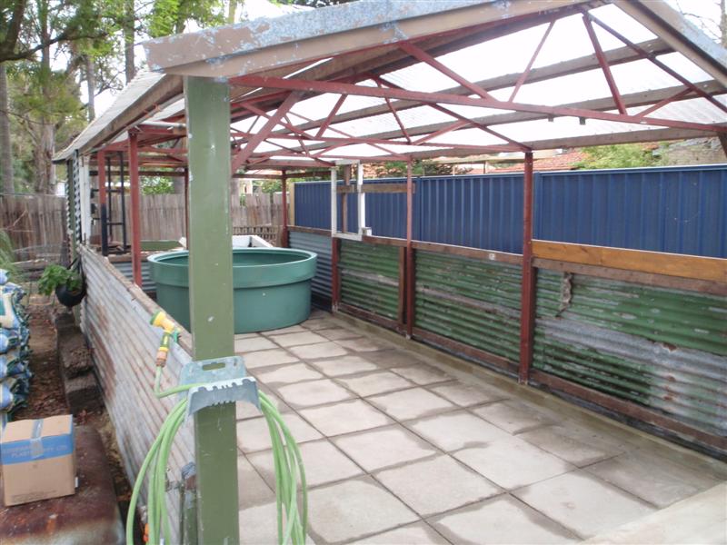 P9100095 (Medium).JPG