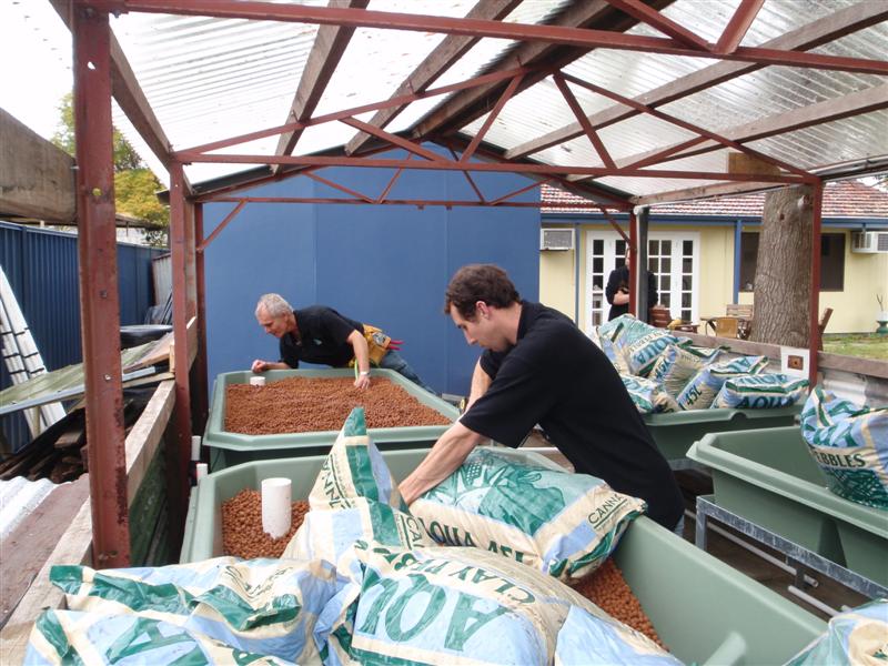 P9100102 (Medium).JPG