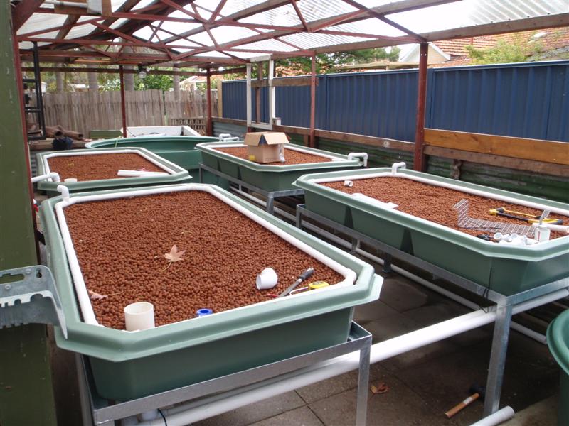 P9100108 (Medium).JPG