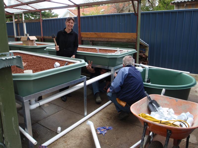 P9100111 (Medium).JPG