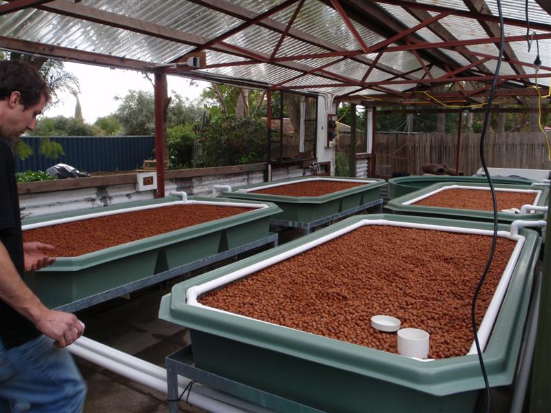 P9100115 (Medium).JPG