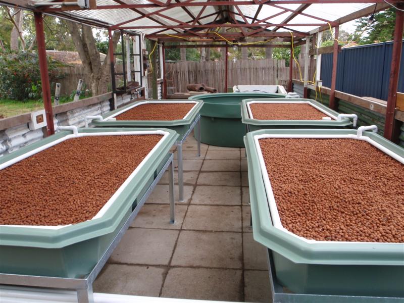 P9100126 (Medium).JPG