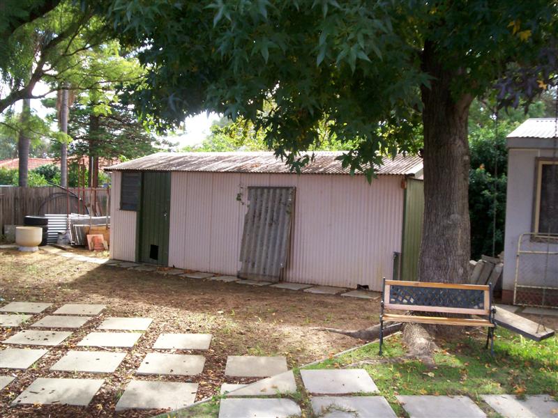 100_0741 (Medium).jpg