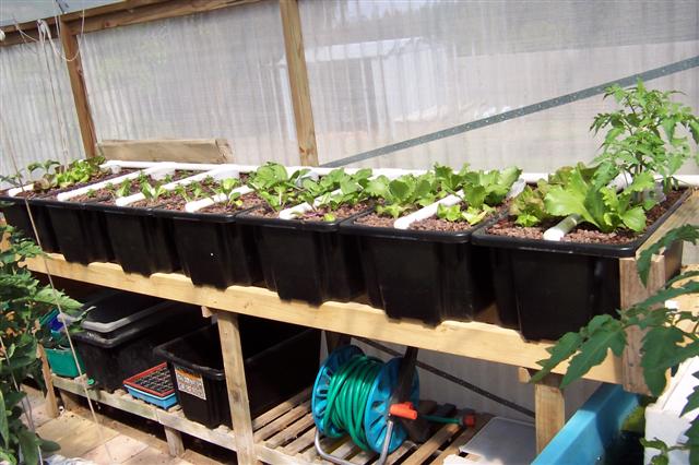 100_0893 (Small).JPG