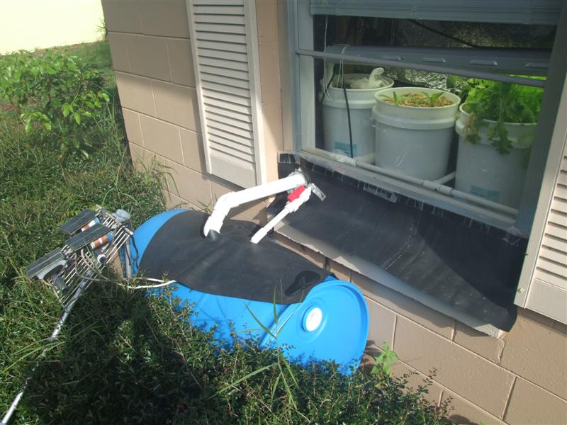 DSCF3537 (Medium).JPG