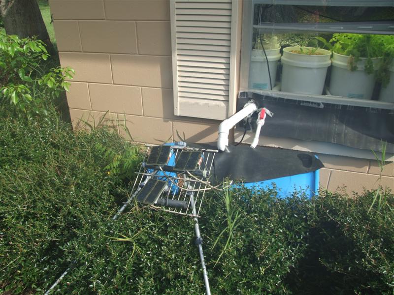 DSCF3538 (Medium).JPG