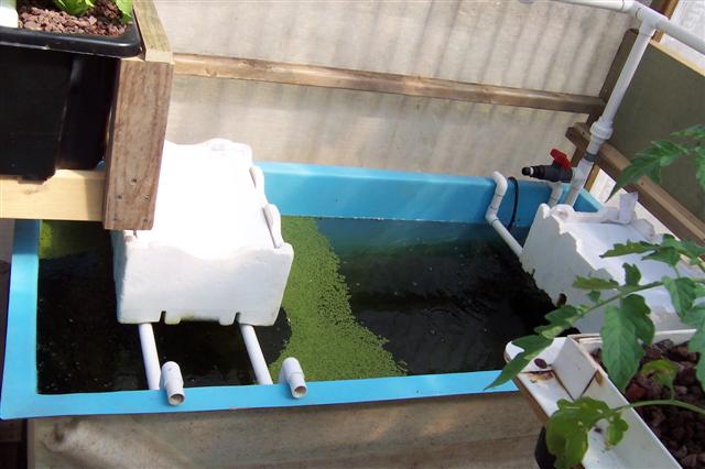 100_0894 (Small).JPG