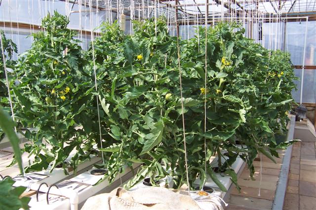 100_0897 (Small).JPG