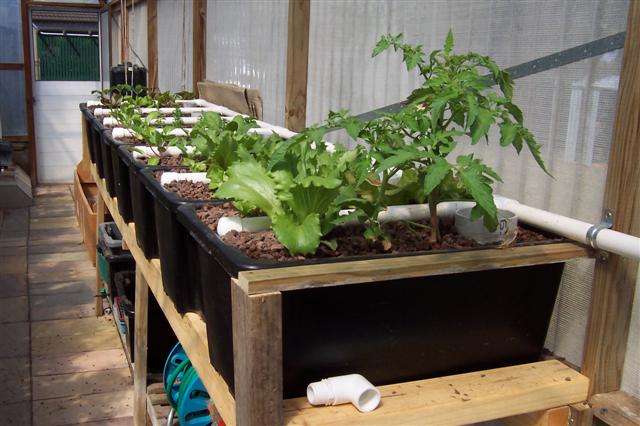 100_0896 (Small).JPG