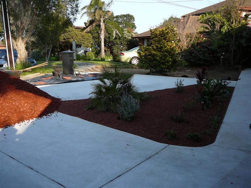 13-09-'08 002 (Medium).jpg