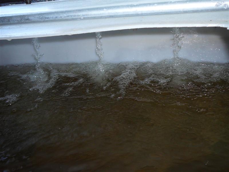 13-09-'08 010 (Medium).jpg