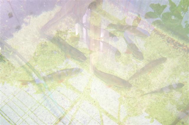 100_0903 (Small).JPG