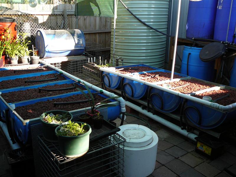 13-09-'08 006 (Medium).jpg