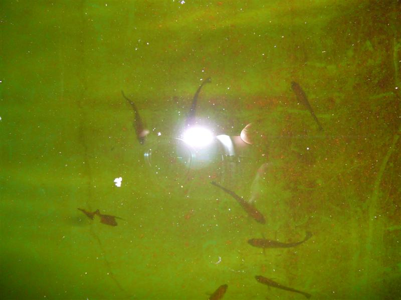 13-09-'08 024 (Medium).jpg