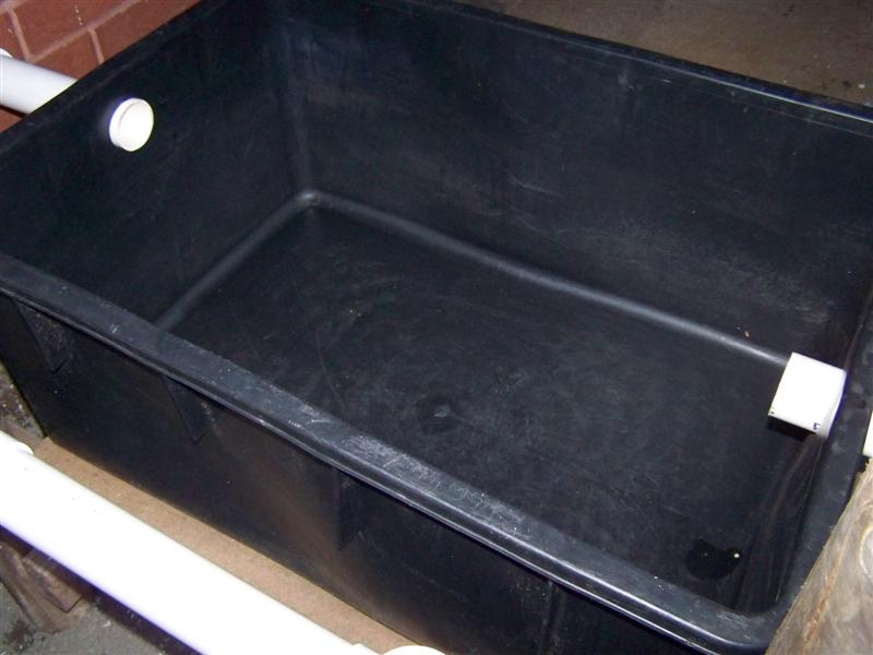 100_0941 (Medium).JPG