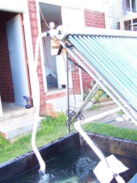 100_0935 (Medium).JPG