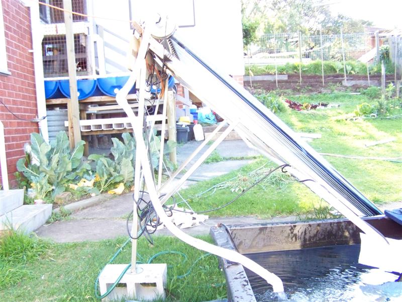 100_0936 (Medium).JPG