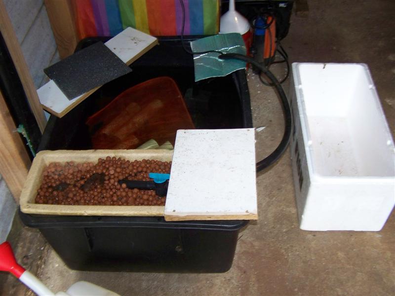 100_0688 (Medium).JPG