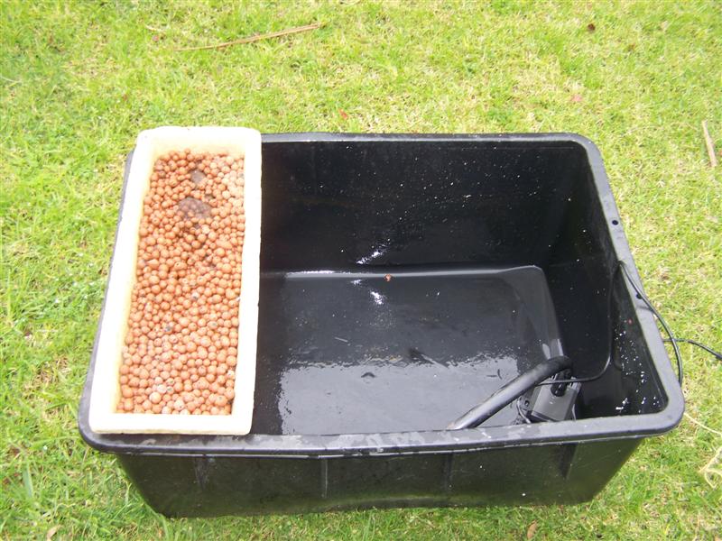 100_0700 (Medium).JPG