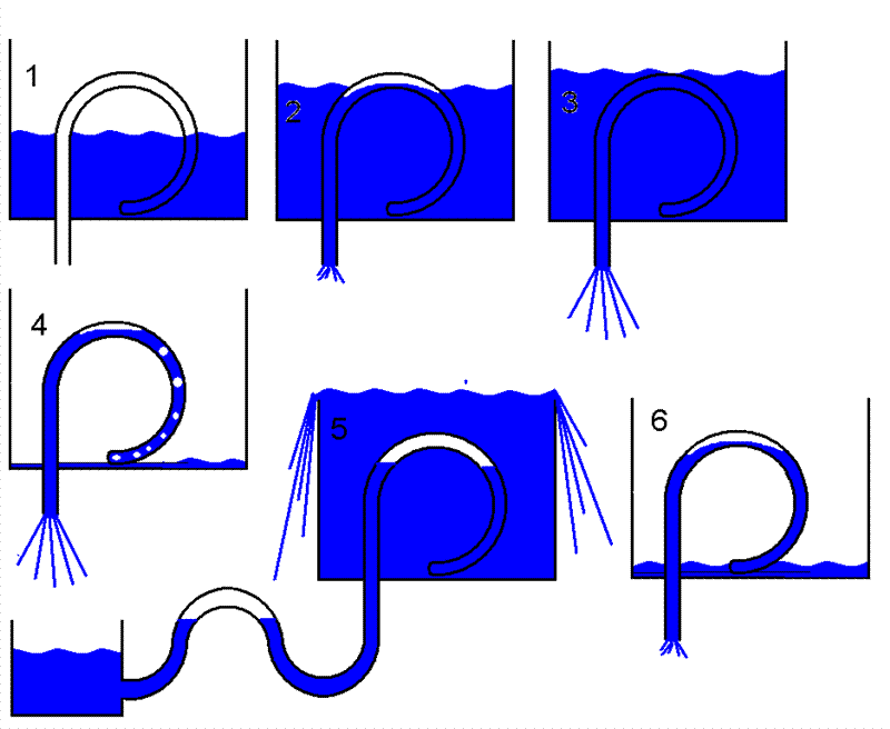 loopsiphon (Medium).GIF