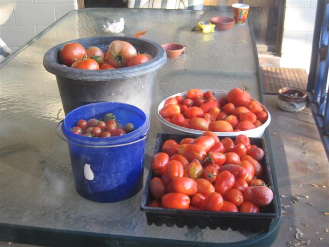 pick of the crop 001 (Small) (2).jpg