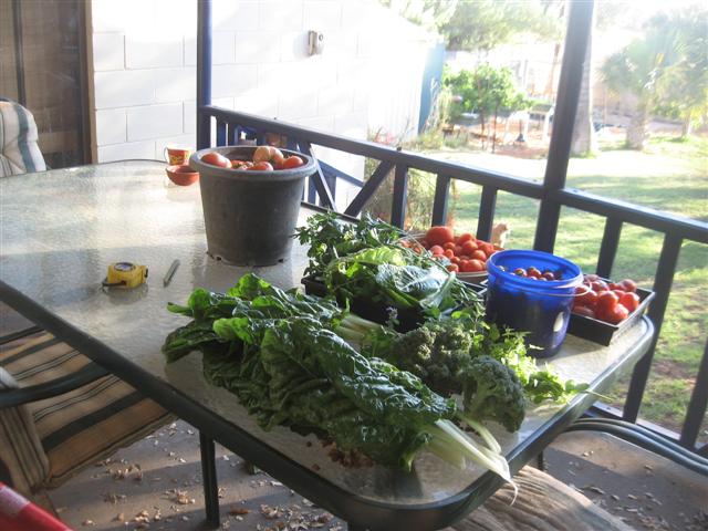 pick of the crop 003 (Small).jpg