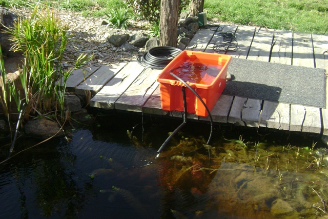 Aqua 7 - Loop siphon tests.jpg