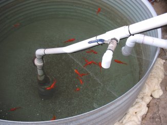 pump and drain detail.jpg