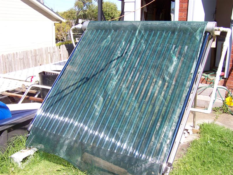 100_1056 (Medium).JPG