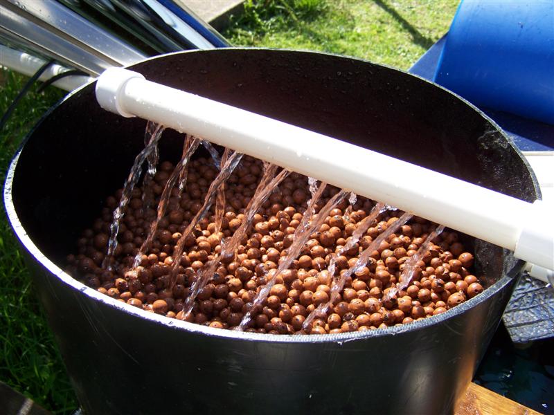 100_1057 (Medium).JPG