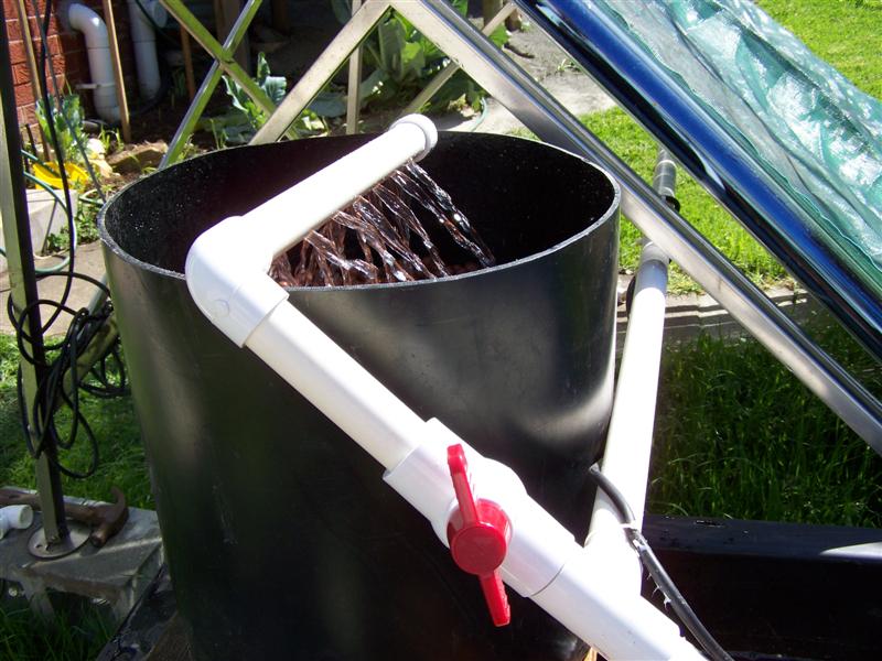 100_1058 (Medium).JPG