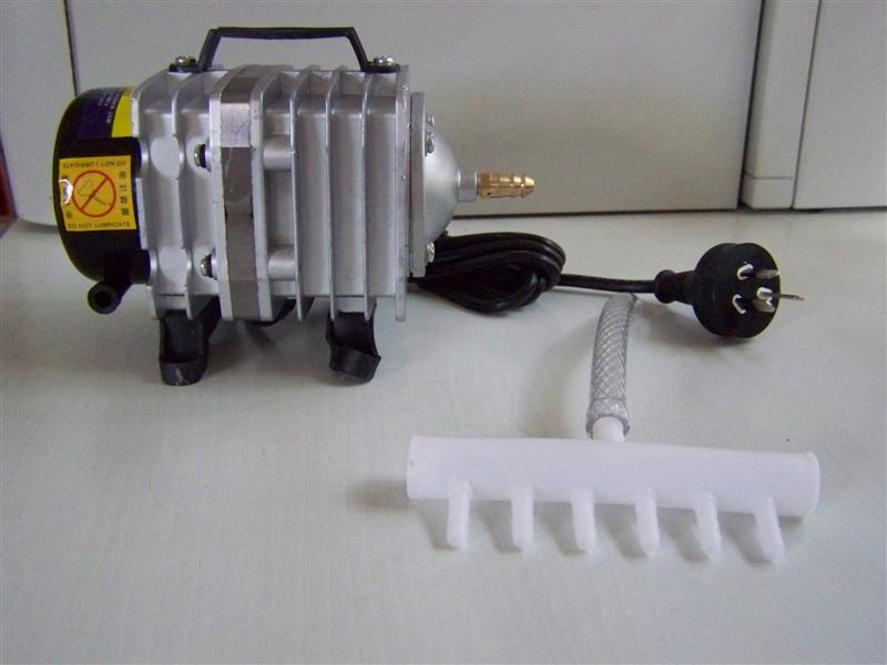 100_1060 (Medium).JPG