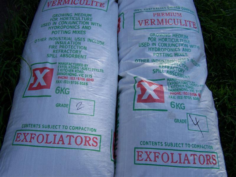 100_1065 (Medium).JPG