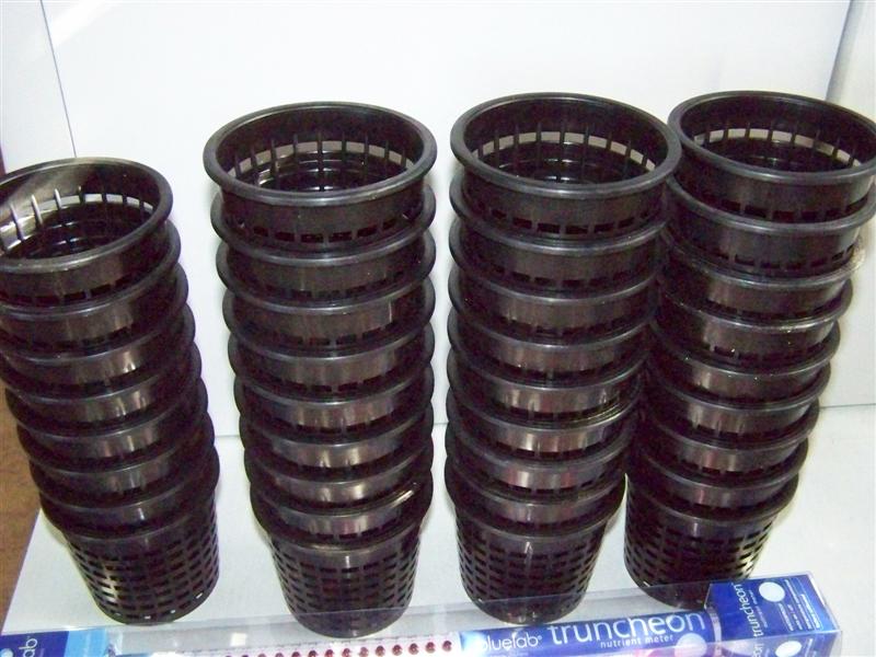 100_1064 (Medium).JPG