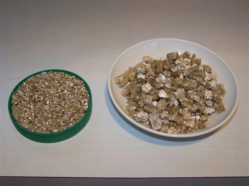 100_1066 (Medium).JPG