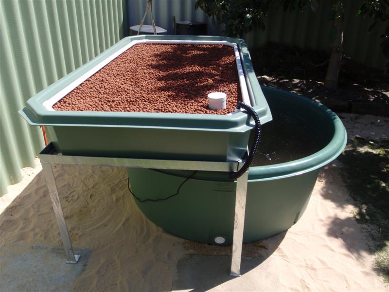 P9240199 (Medium).JPG