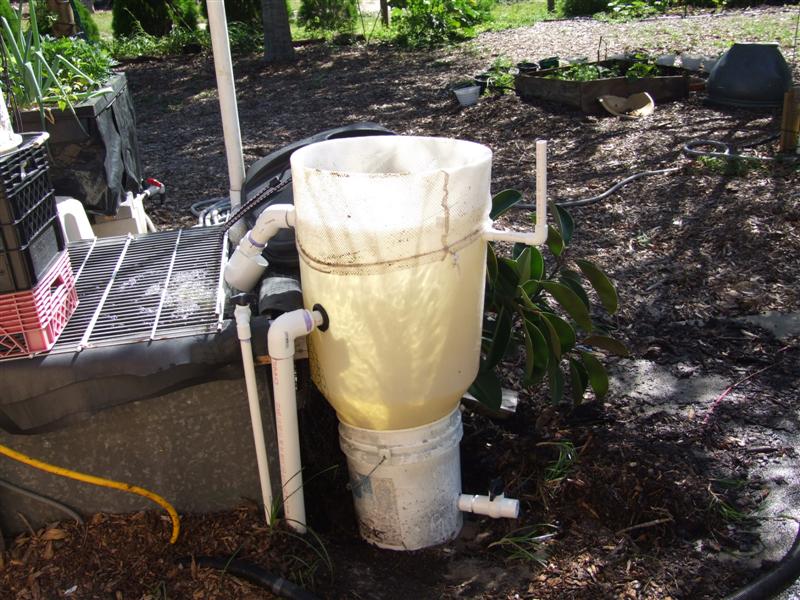 DSCF3572 (Medium).JPG