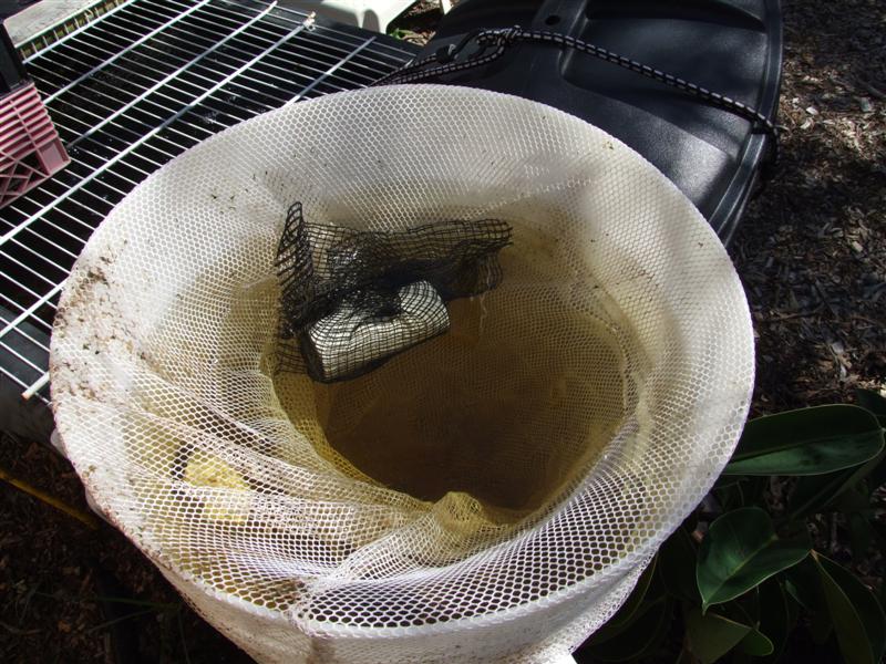 DSCF3573 (Medium).JPG